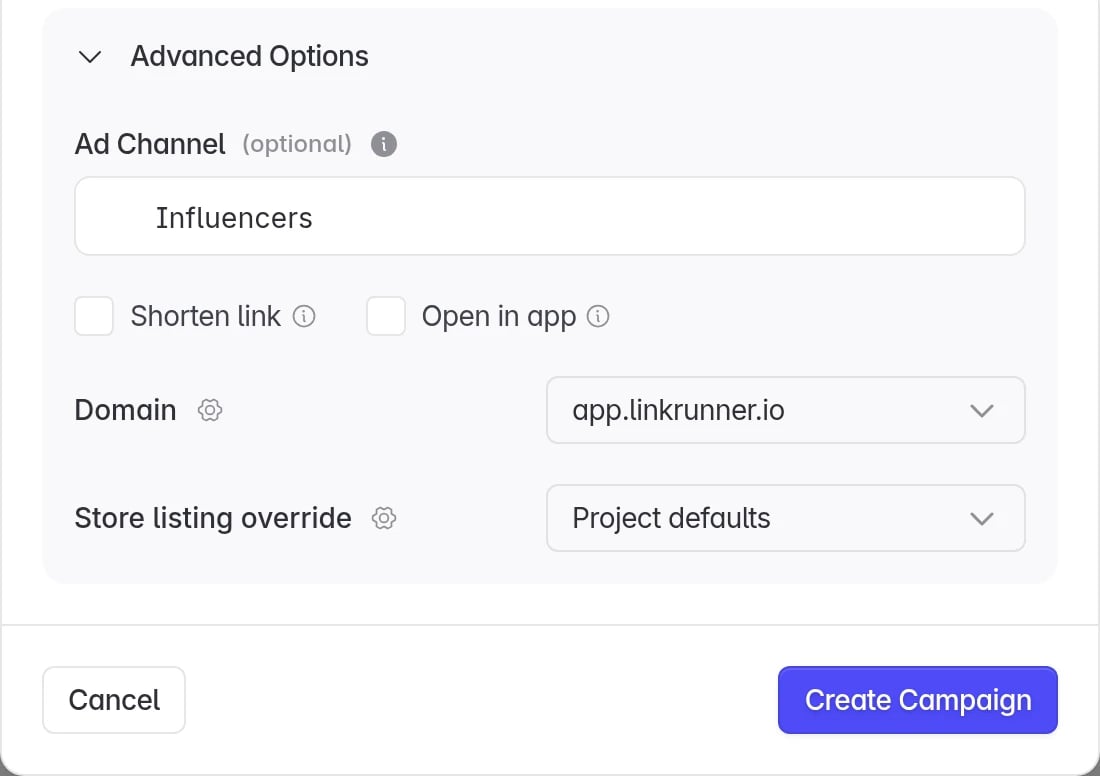 Advanced Options with a custom channel, the domain and the Create Campaign button