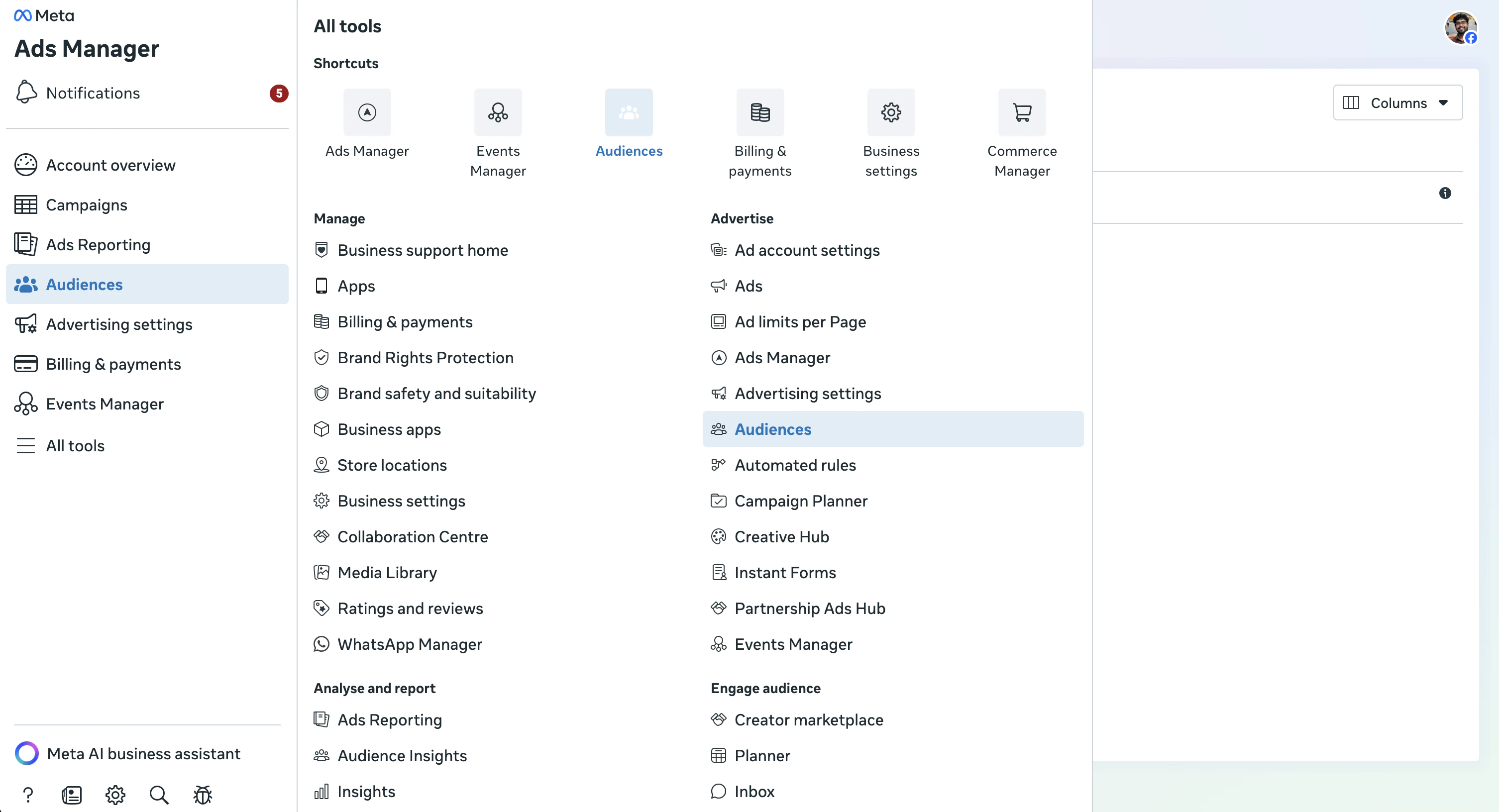 Meta Audiences Dashboard