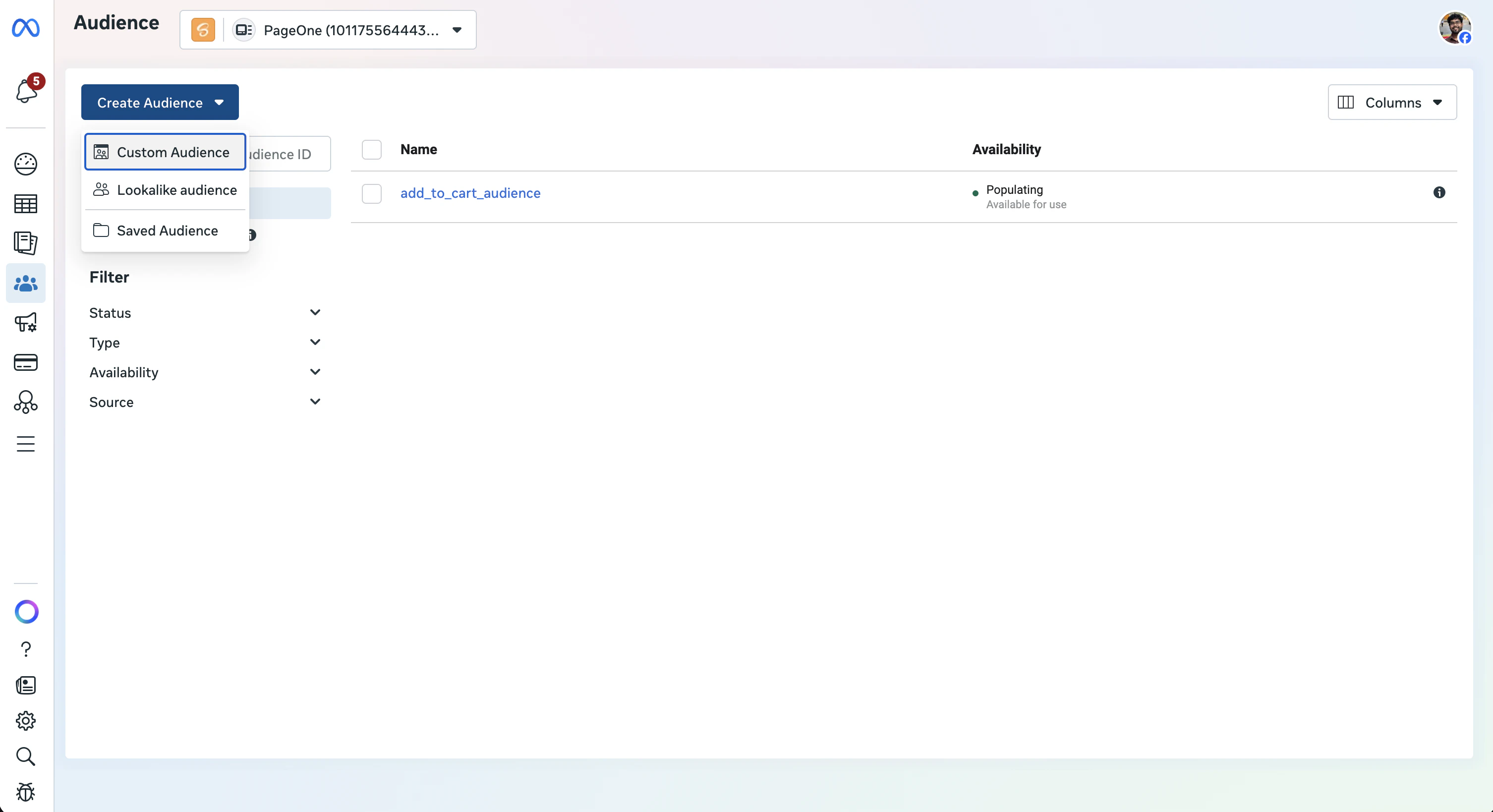 Create Custom Audience