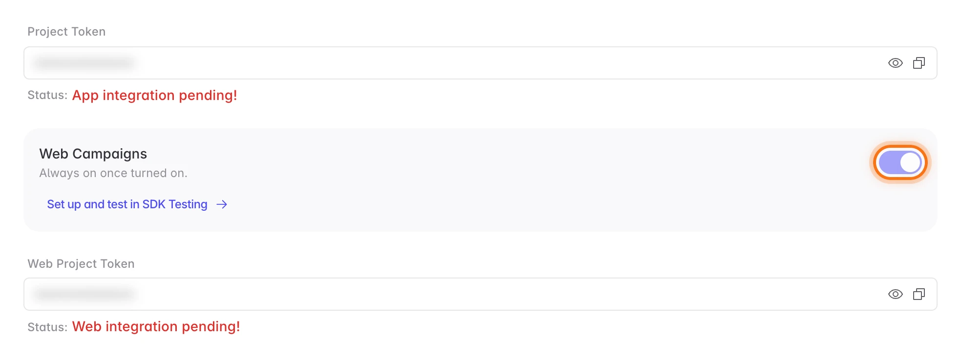 Project Details with the Web Campaigns switch turned on and locked
