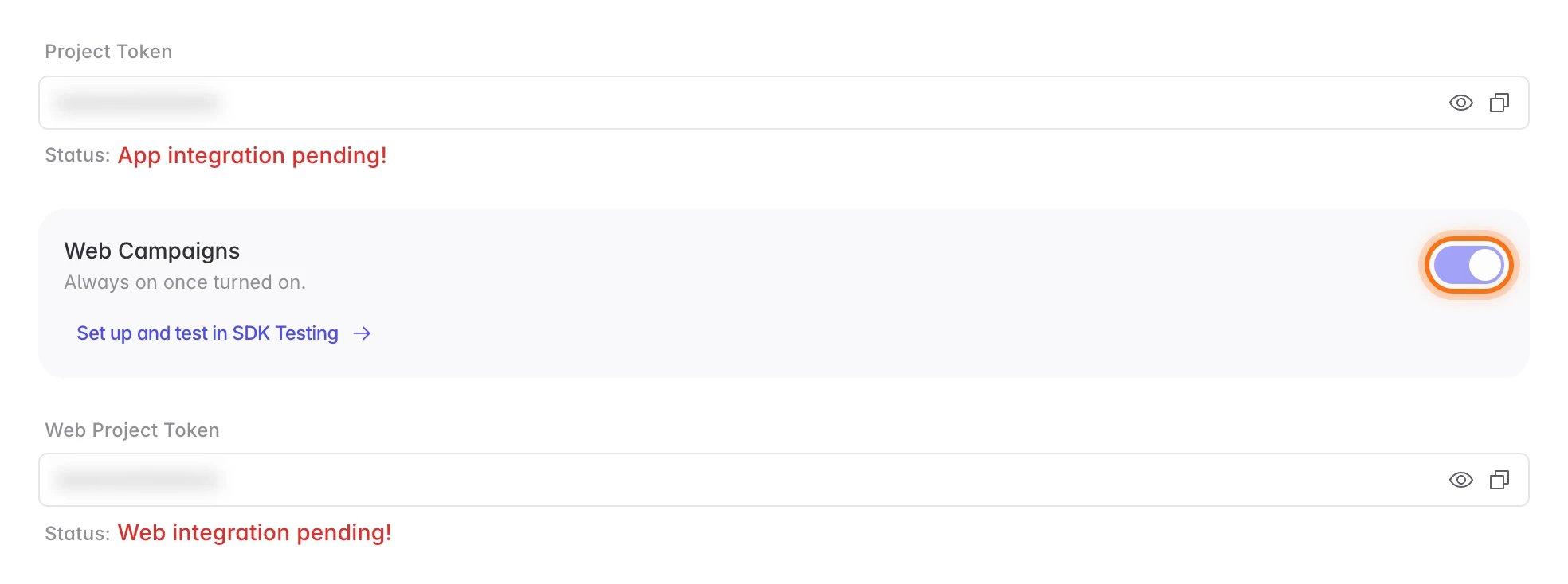 Project Details with the Web Campaigns switch turned on and locked