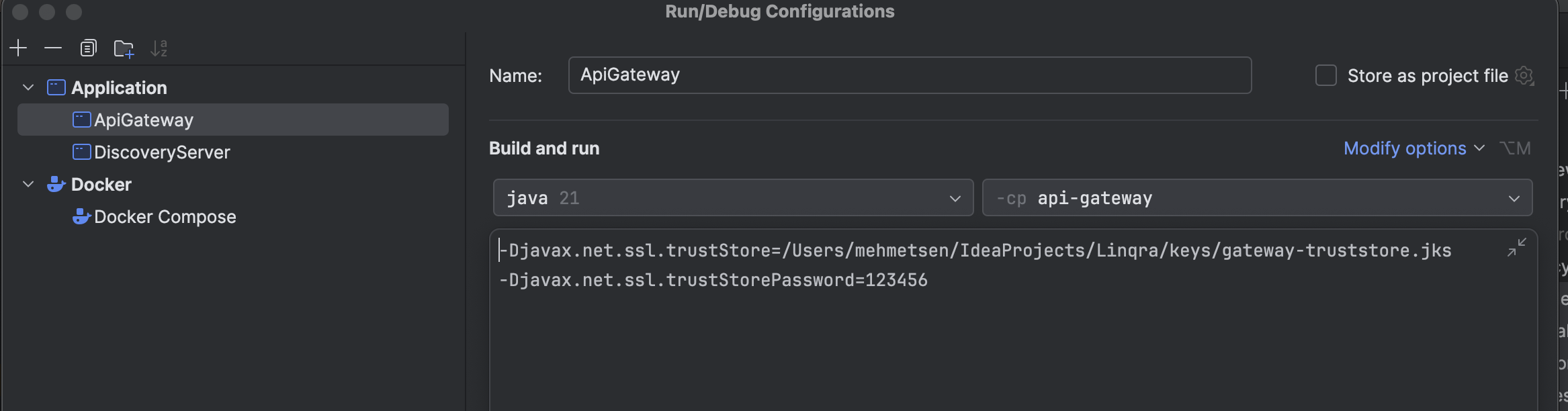 IntelliJ IDEA API Gateway VM Options Configuration