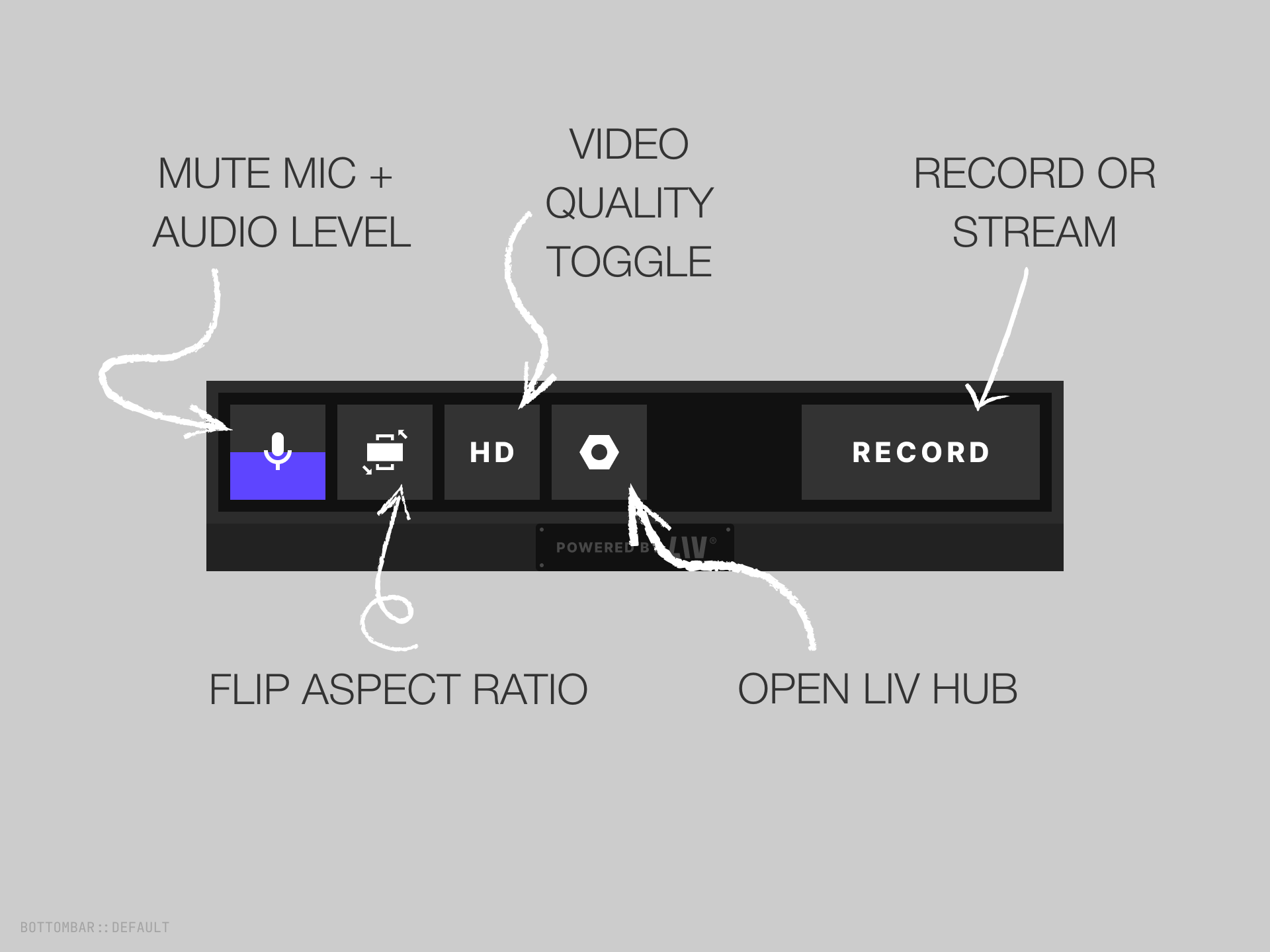 Liv Camera Bottom Controls