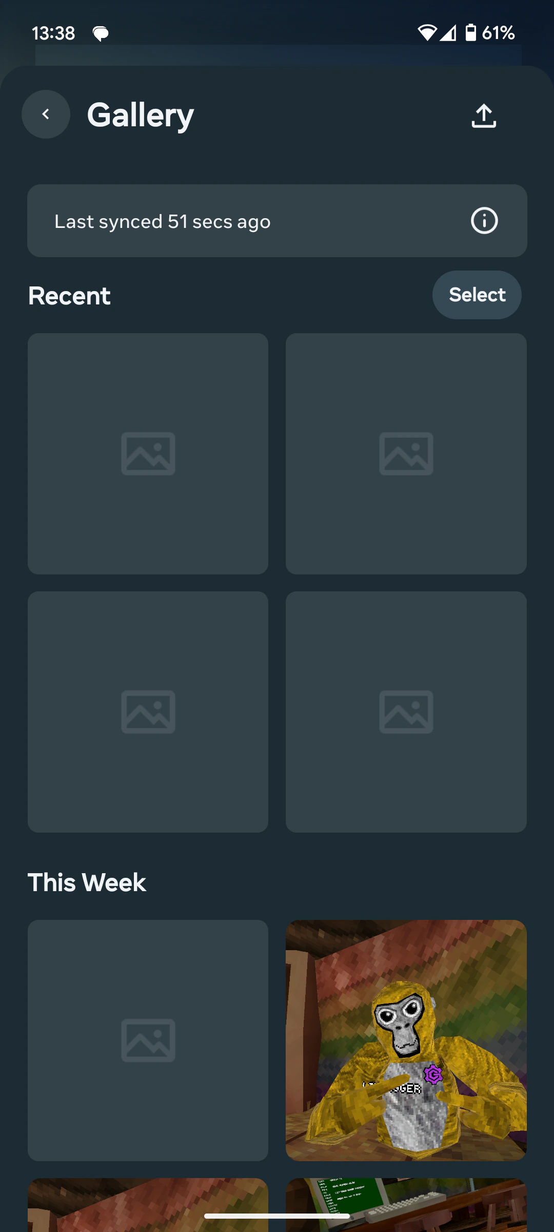 Livcamera Horizon Sync