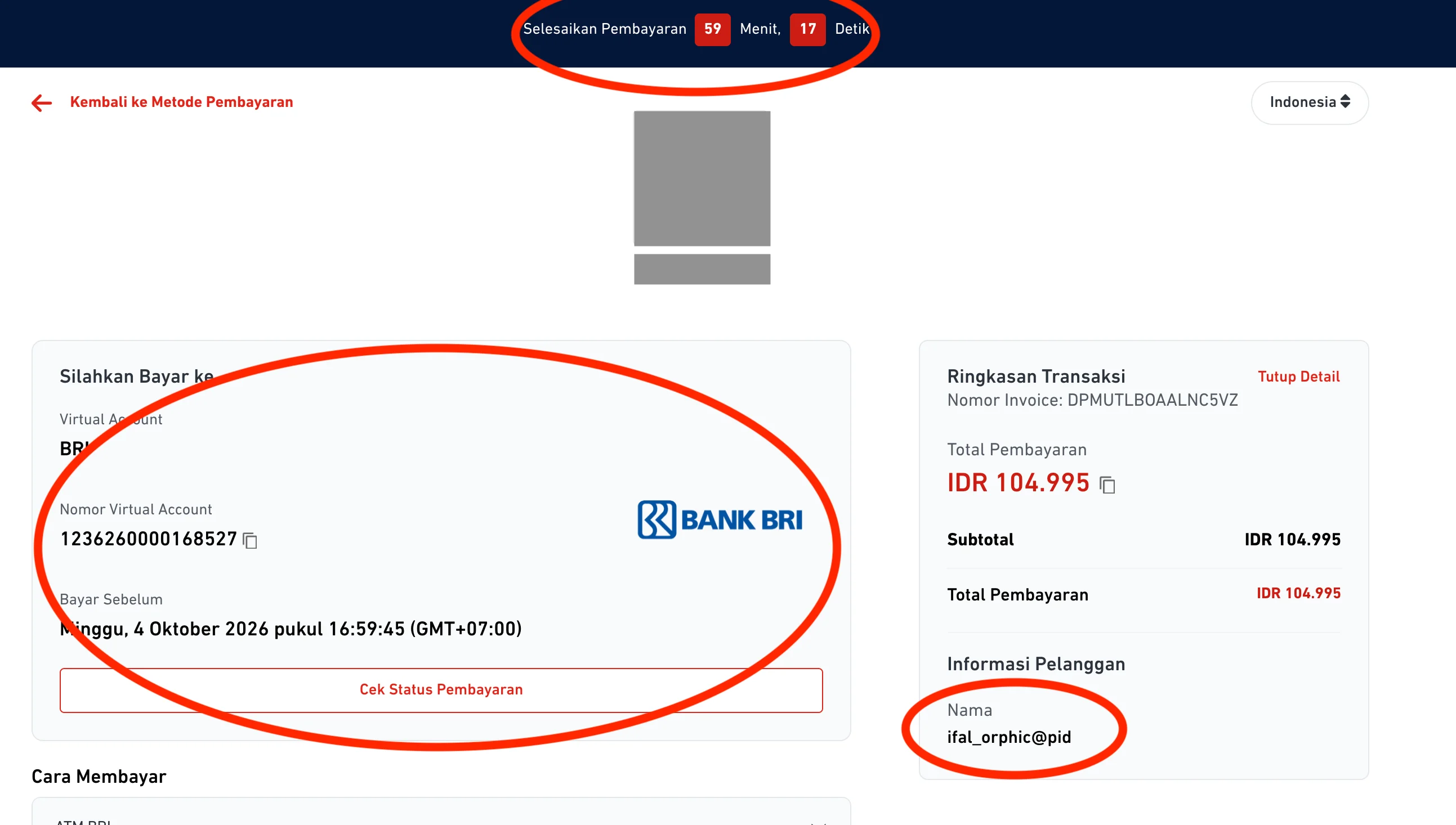 Complete the payment on the checkout page