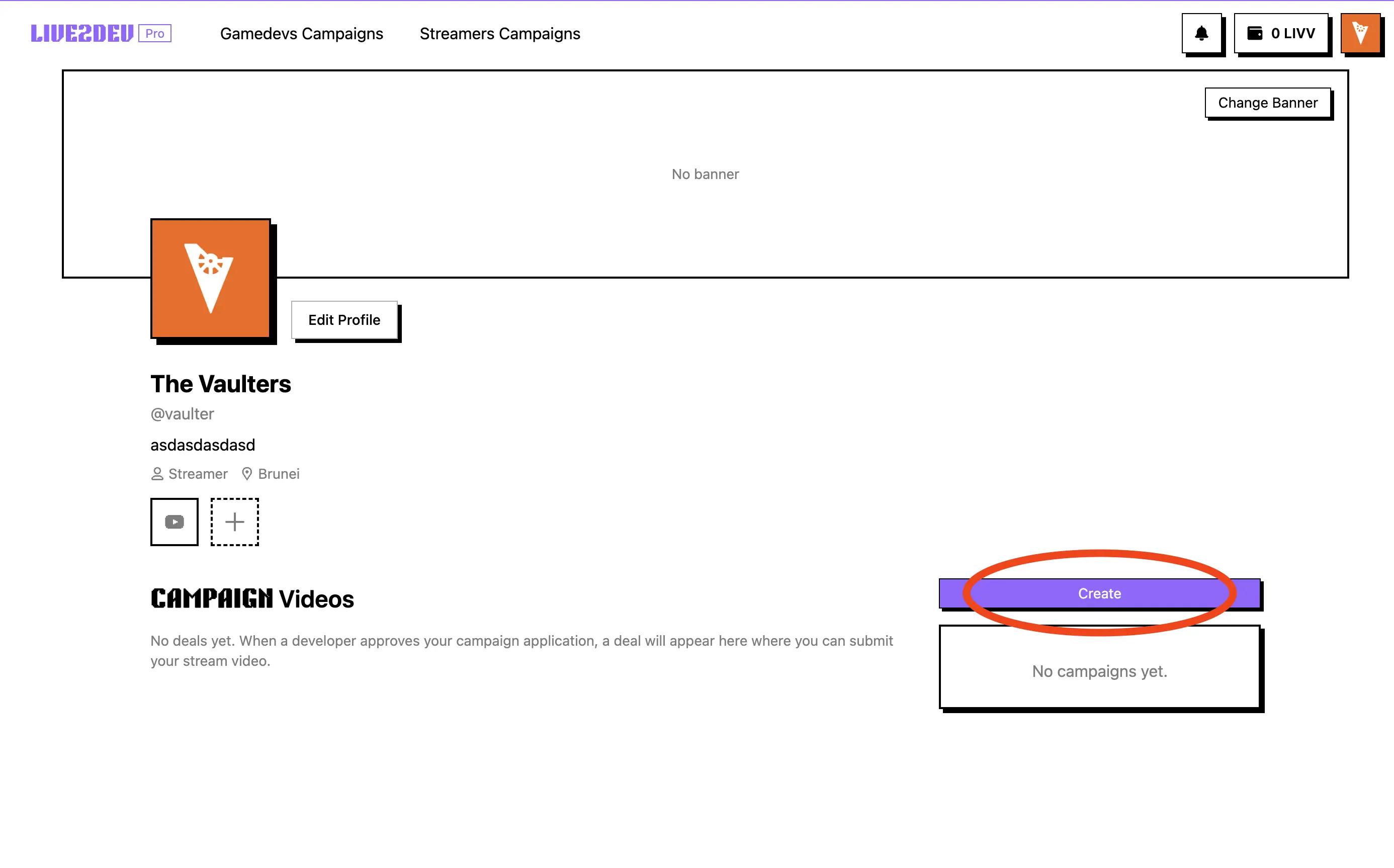 Formulir buat campaign