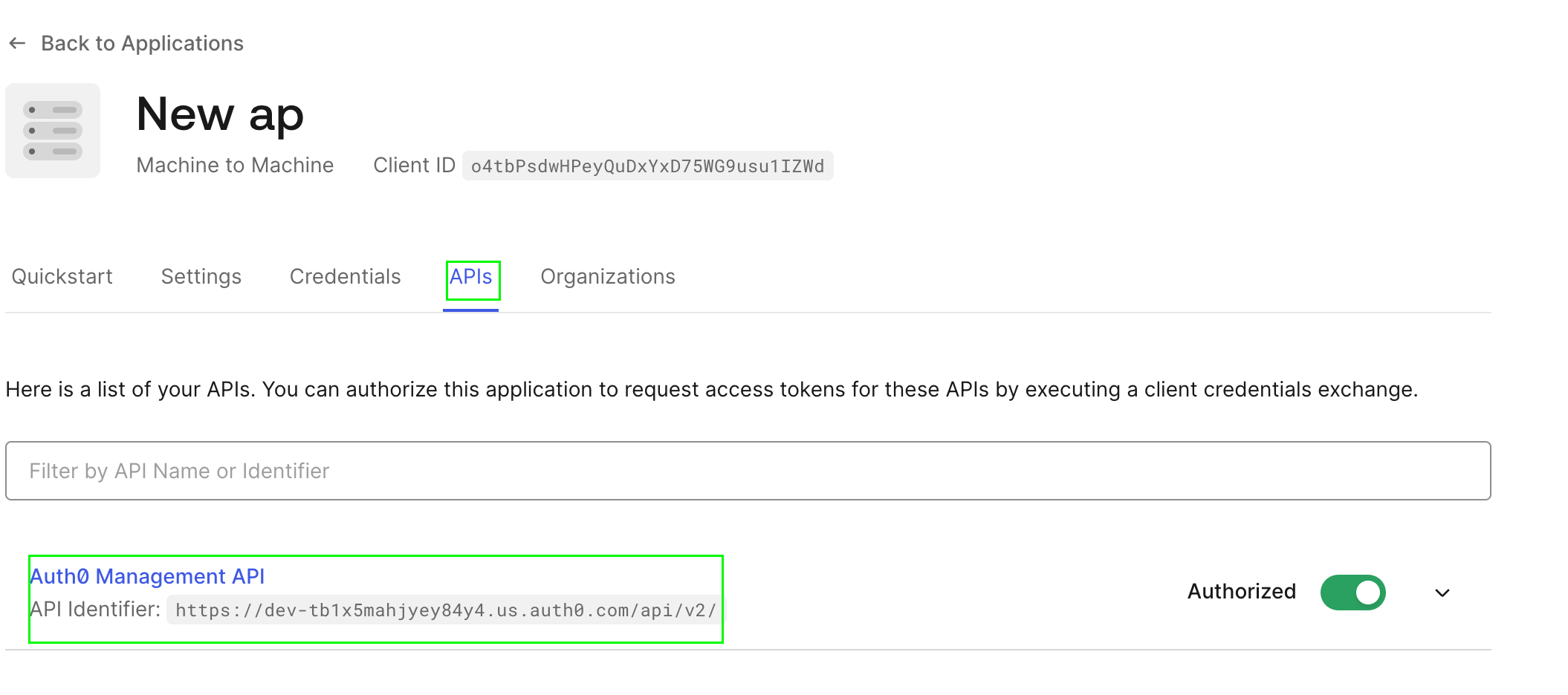 Auth0 API identifier field