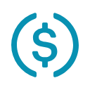 USDC Logo
