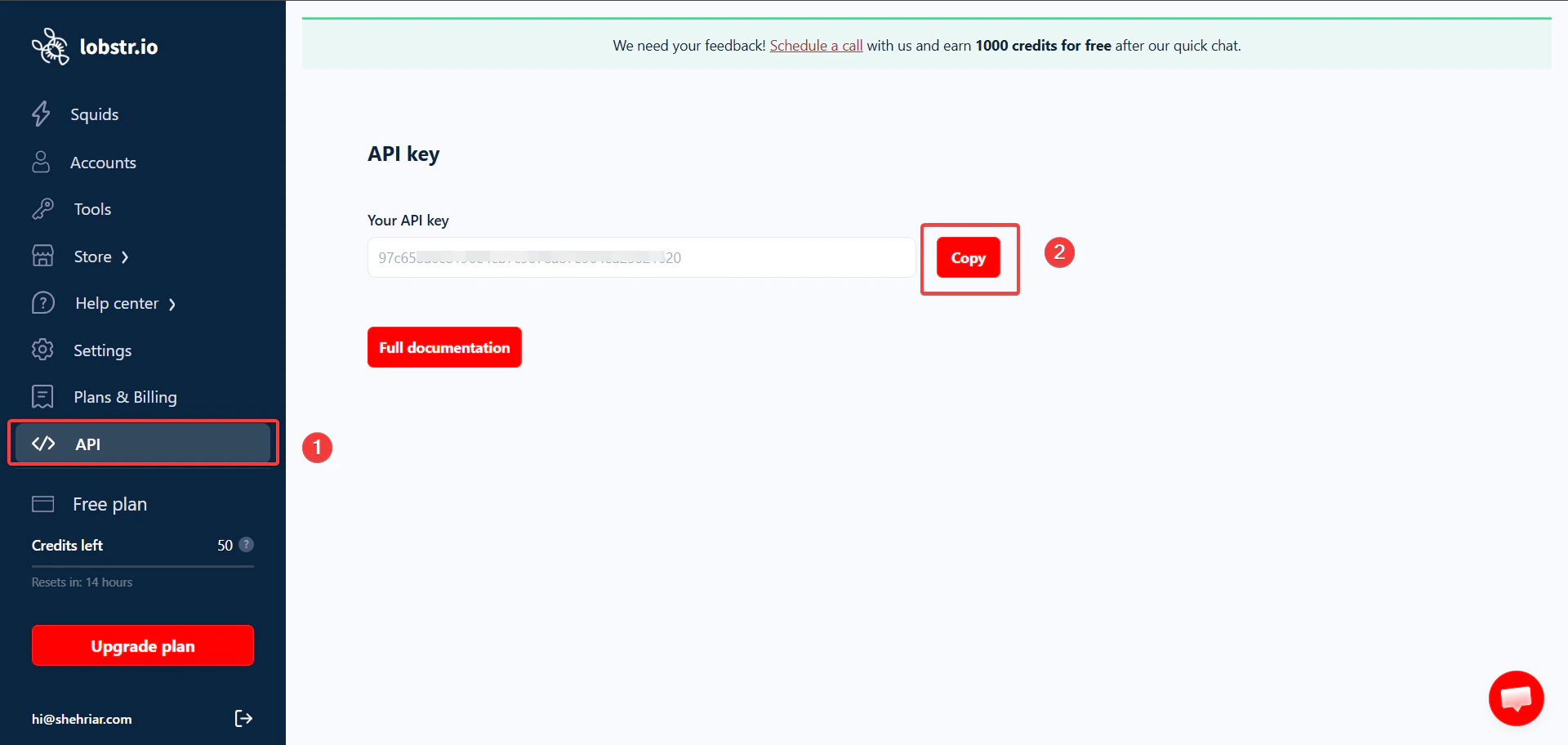 Find and copy your lobstr.io API key from Settings