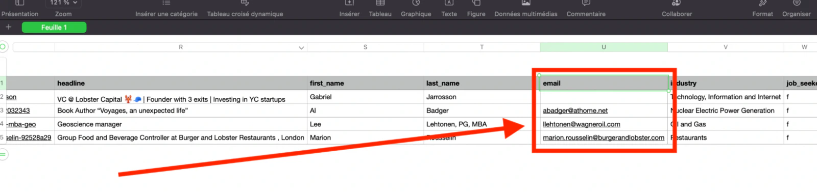 Dataset with lobstr.io email enrichment