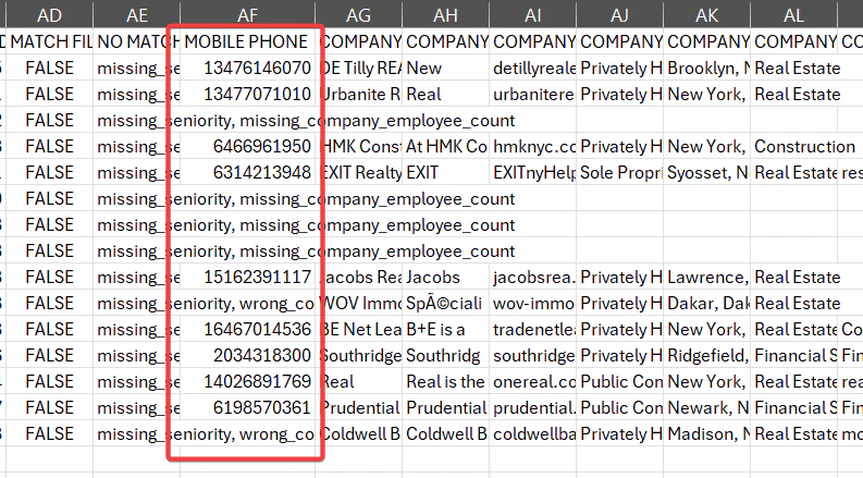 MOBILE PHONE column in the output file