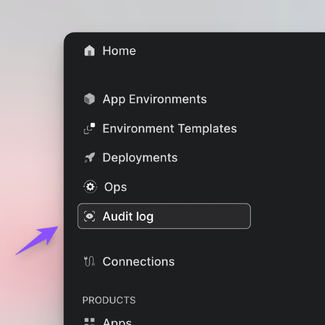 Audit
