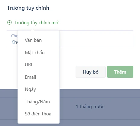 Các loại trường tùy chỉnh