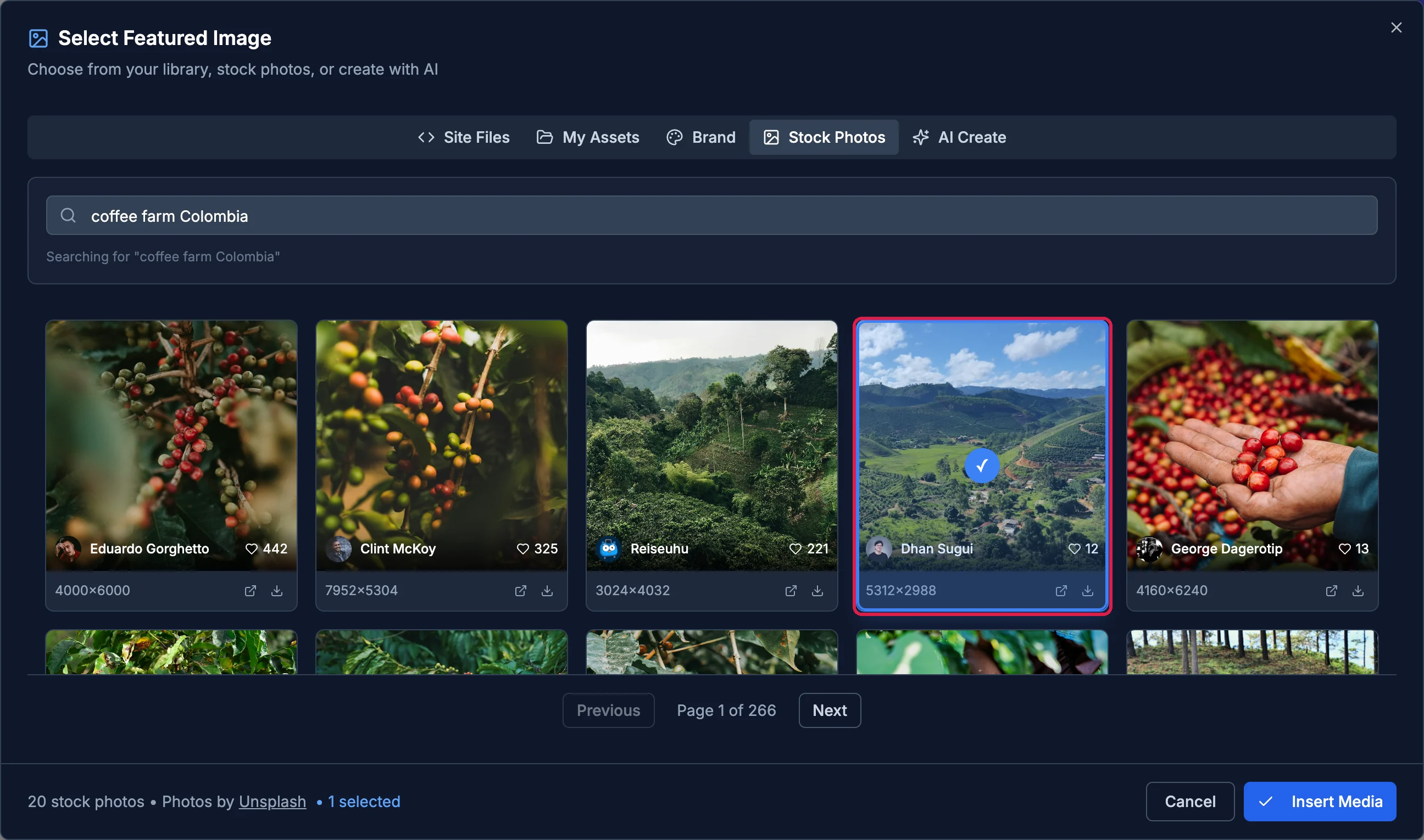 The Select Featured Image box on Stock Photos, with a photo of green coffee-growing hills outlined