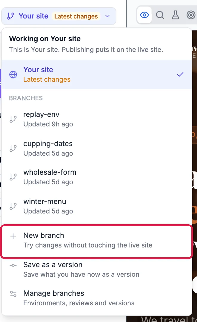 The branch menu: Working on Your site, a list of branches, and New branch outlined
