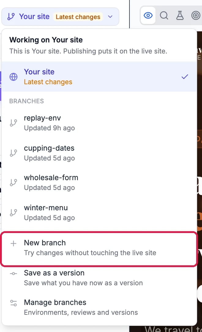 The branch menu: Working on Your site, a list of branches, and New branch outlined