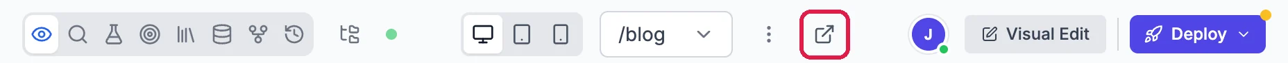The toolbar above the branch preview showing /blog and the Open this page in a new tab button outlined