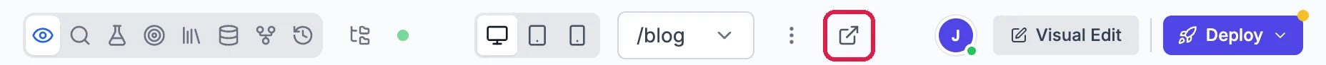 The toolbar above the branch preview showing /blog and the Open this page in a new tab button outlined