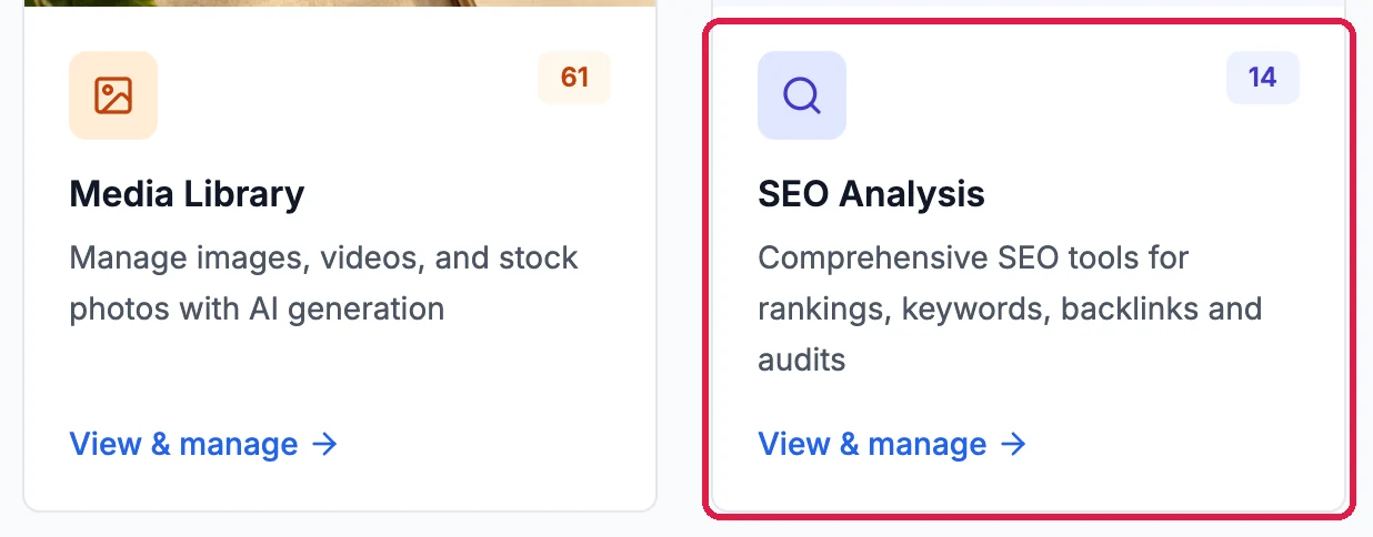The SEO Analysis card on the Marketing page, outlined
