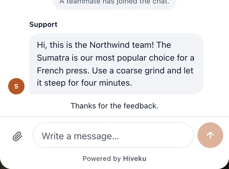 The visitor's chat with the team's reply and Thanks for the feedback.