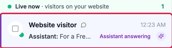 Live now, visitors on your website: the Website visitor chat, with the assistant's answer and Assistant answering, outlined