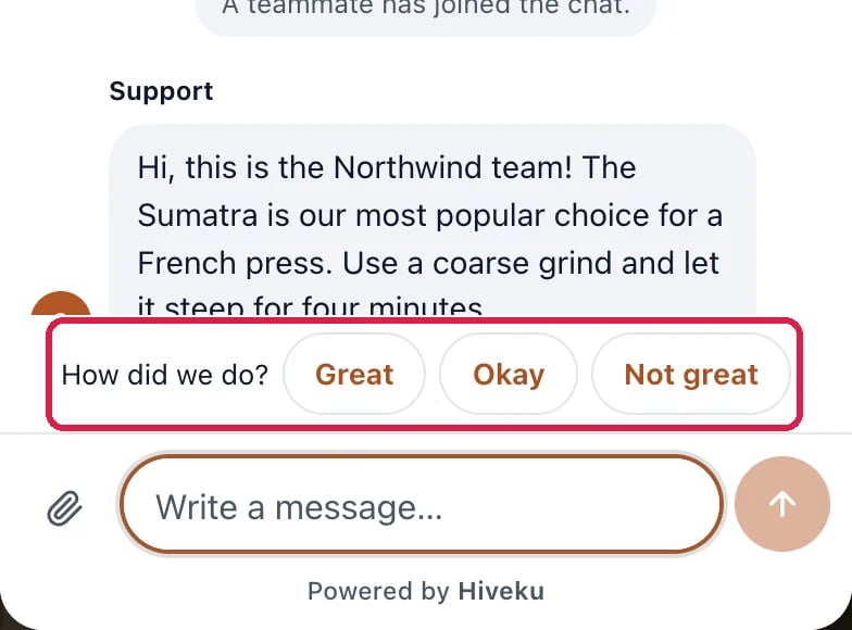 The bottom of the visitor's chat on the website: the team's reply, then How did we do? with Great, Okay and Not great, outlined