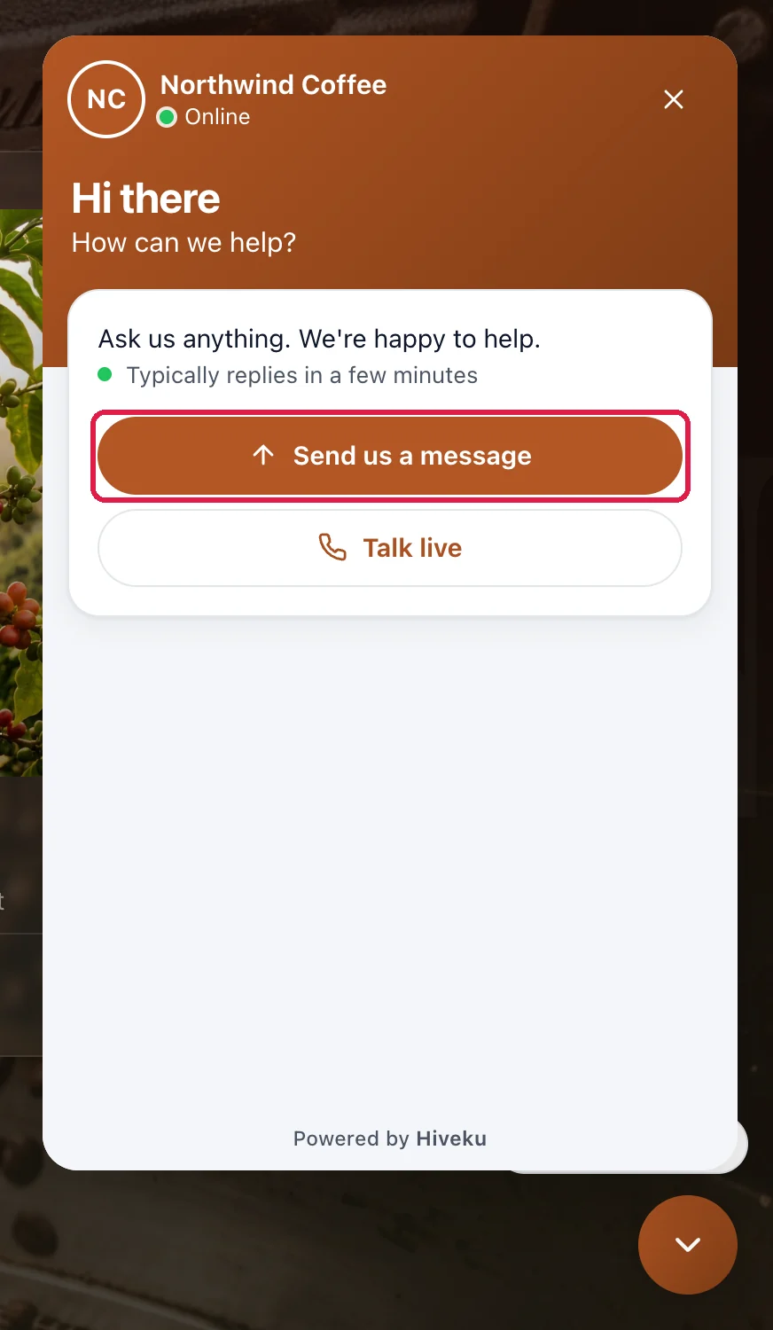 The open chat: Northwind Coffee, Online, Hi there, How can we help?, with the Send us a message button outlined and Talk live below it
