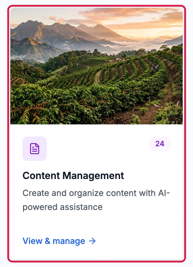 The Content Management card in Marketing, outlined