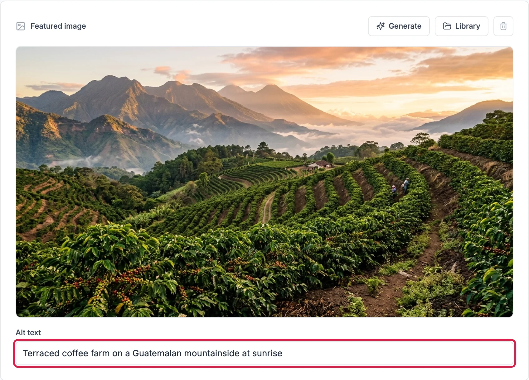 The Featured image section with the terraced coffee farm photo and the Alt text Terraced coffee farm on a Guatemalan mountainside at sunrise outlined