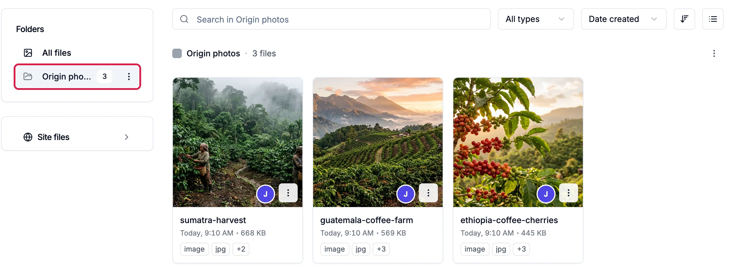 The Origin photos folder outlined in the Folders list with a count of 3, and its three photos: sumatra-harvest, guatemala-coffee-farm and ethiopia-coffee-cherries