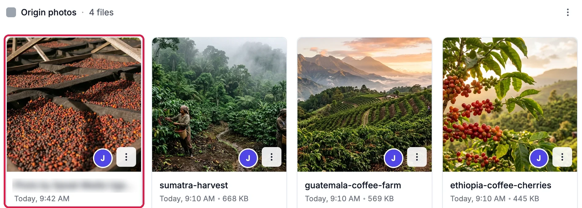 The Origin photos folder with 4 files, and the new photo of coffee cherries drying on racks, named after its photographer (blurred here), outlined