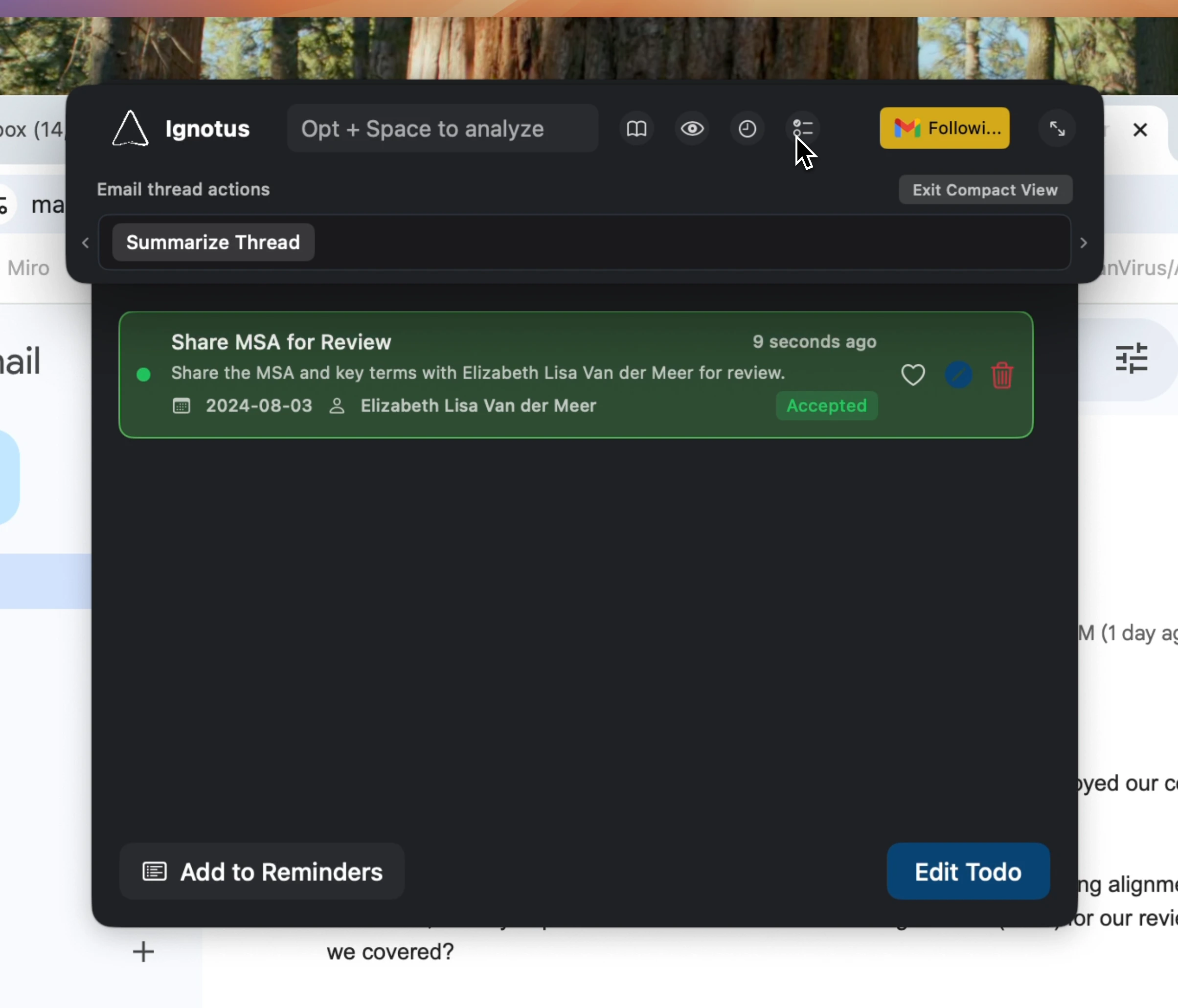 A window showing all identified to-do items in a list format.