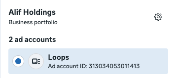 Meta Ads Account ID in Ads Account