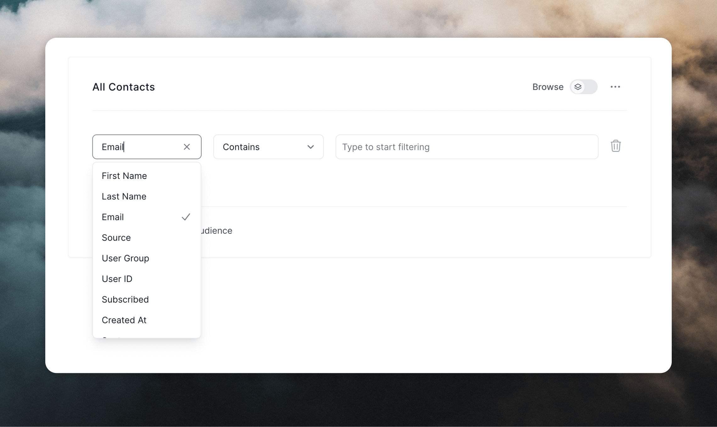 Audience filter form