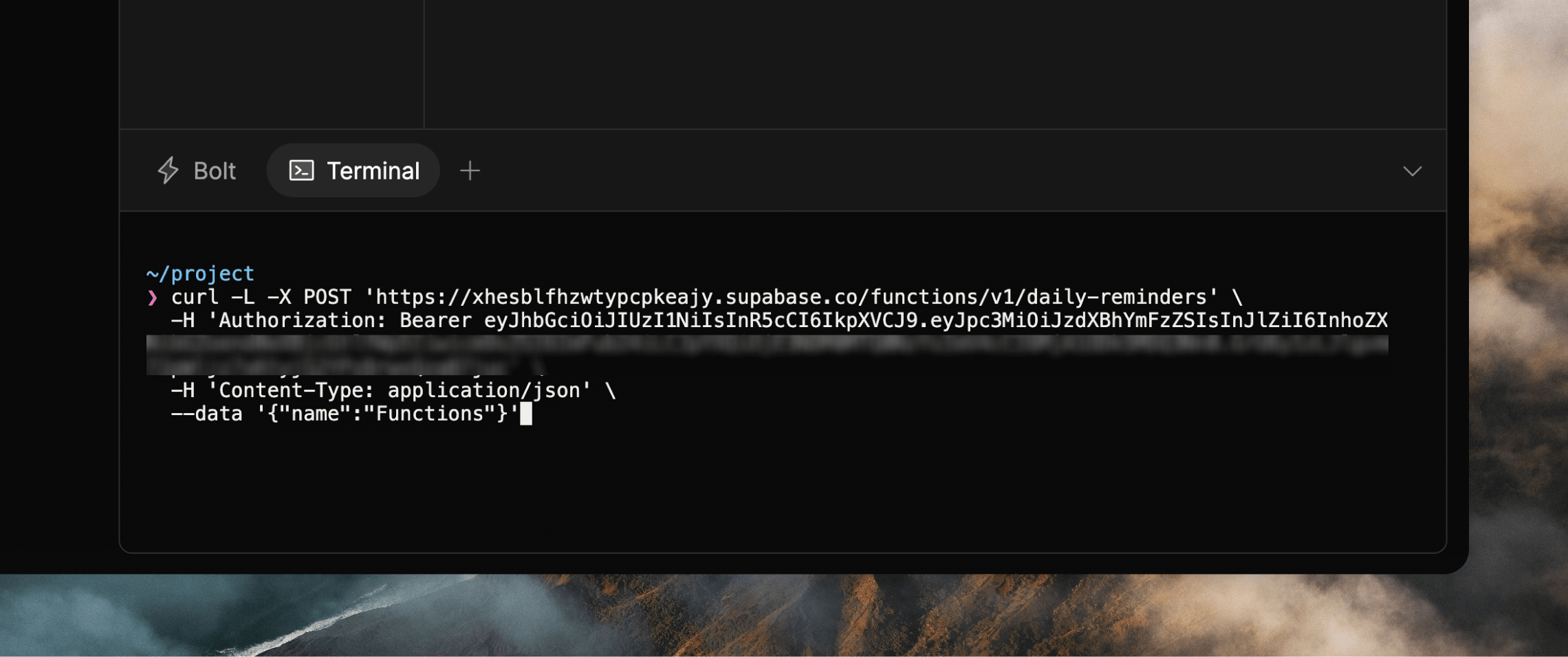 Running a command in Bolt's terminal