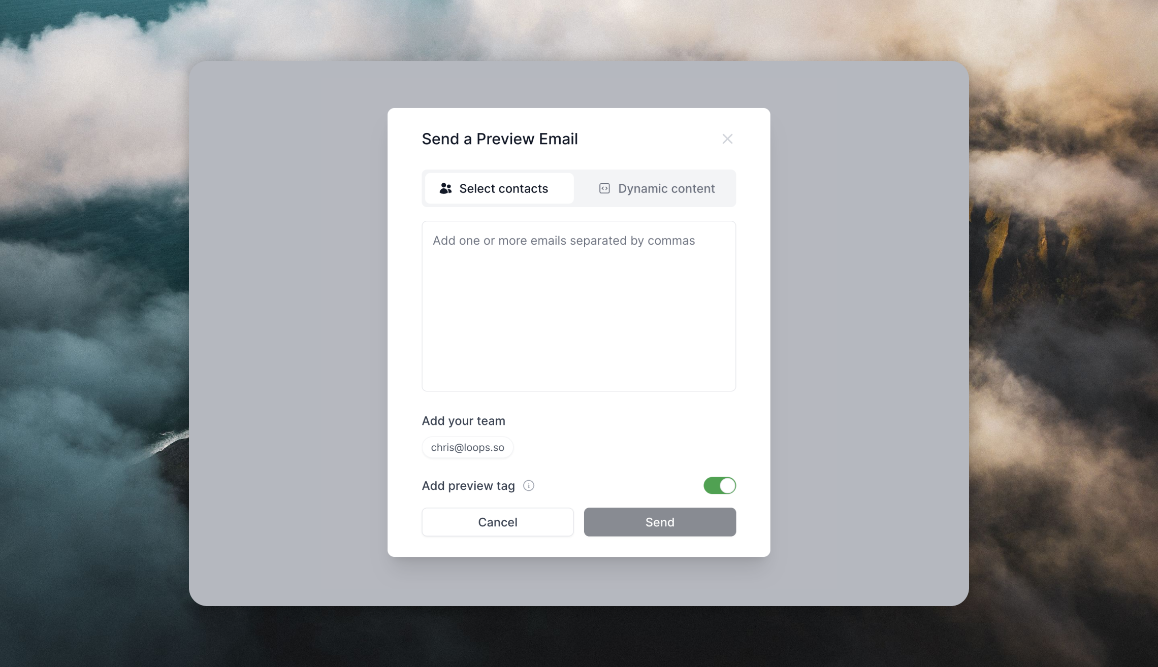 Preview email modal showing contact selection