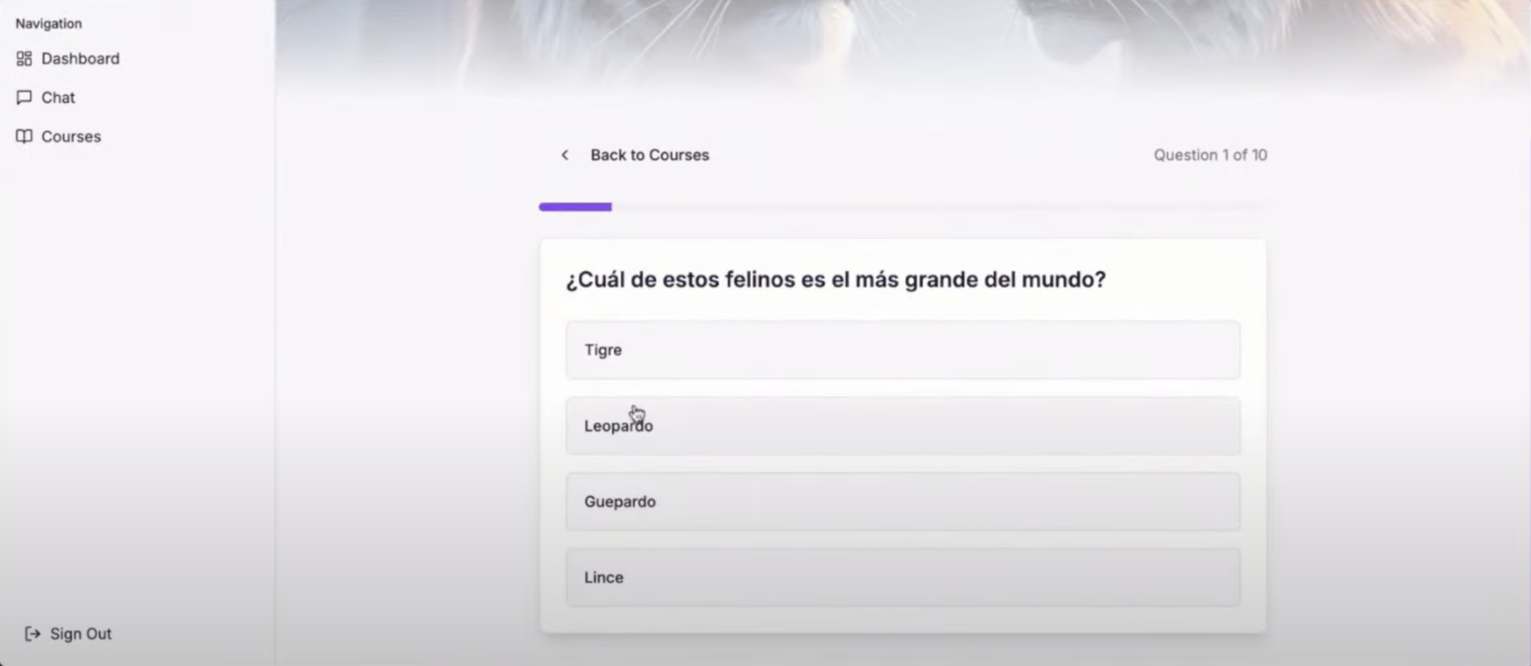 Replicate Real Time Pn