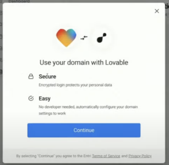 Custom Domain Lovable Pn