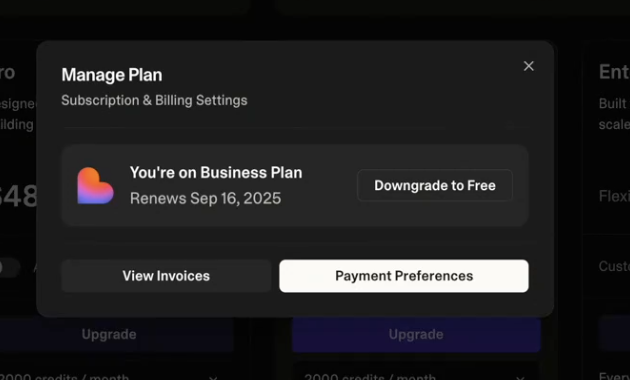 Plan management interface showing upgrade and downgrade options