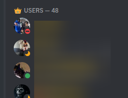 An image showing the list of users in Discord