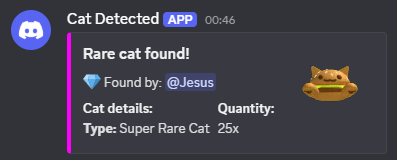 A Discord webhook message titled "Rare cat found!" showing the finder, cat type and quantity with a thumbnail