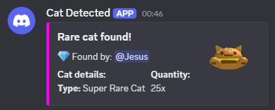 A Discord webhook message titled "Rare cat found!" showing the finder, cat type and quantity with a thumbnail