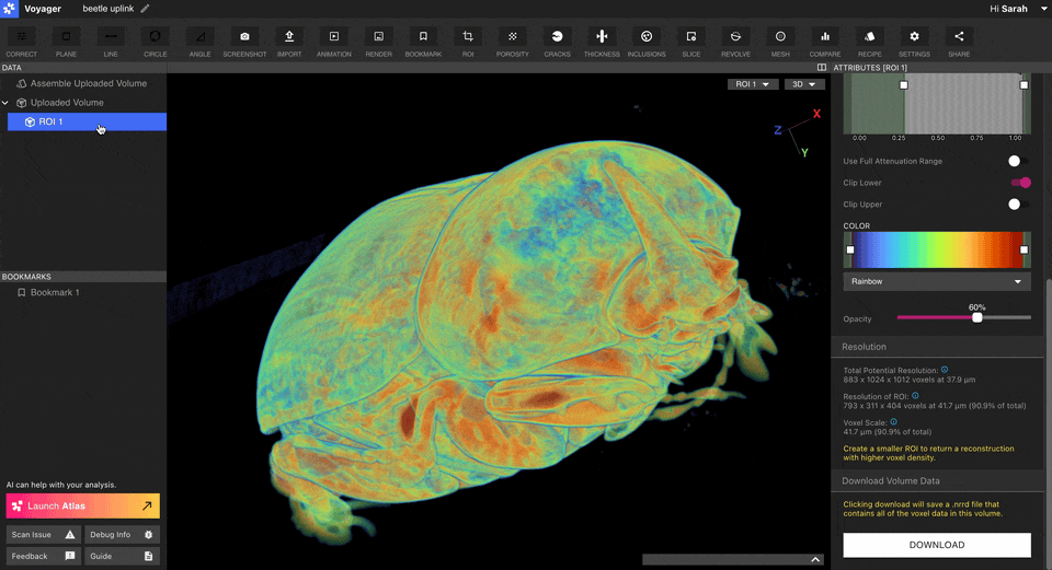 Voyager Uplink Adjust Voxel Size