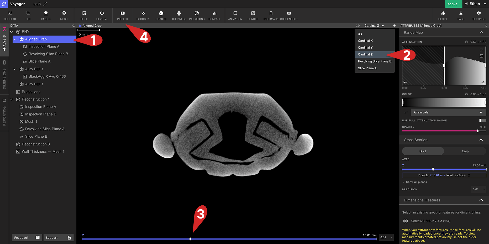 Inspect Step1
