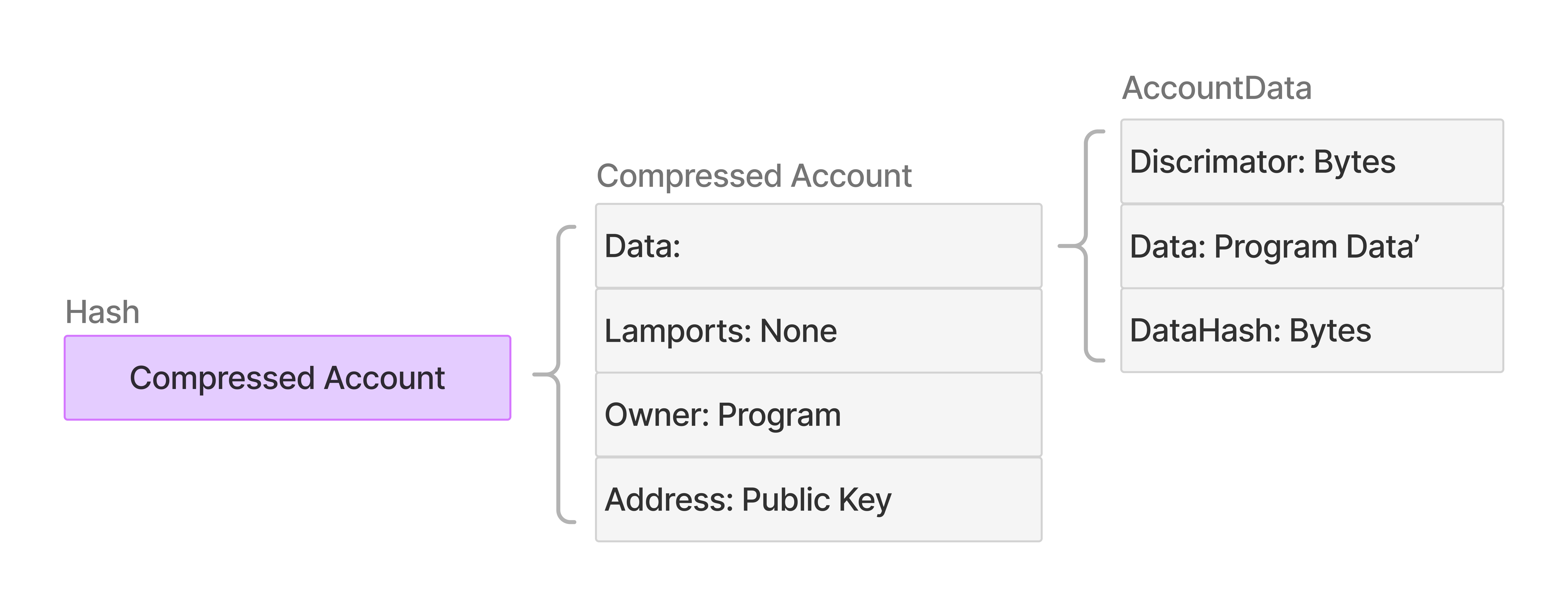 Diagram showing CompressedAccount structure with five core fields: Hash (32-byte unique identifier), Address (optional 32-byte persistent identifier), Data (nested CompressedAccountData struct containing 8-byte discriminator, variable-length serialized data, and 32-byte data_hash), Lamports (u64 account balance), and Owner (Pubkey of the program that owns the account)