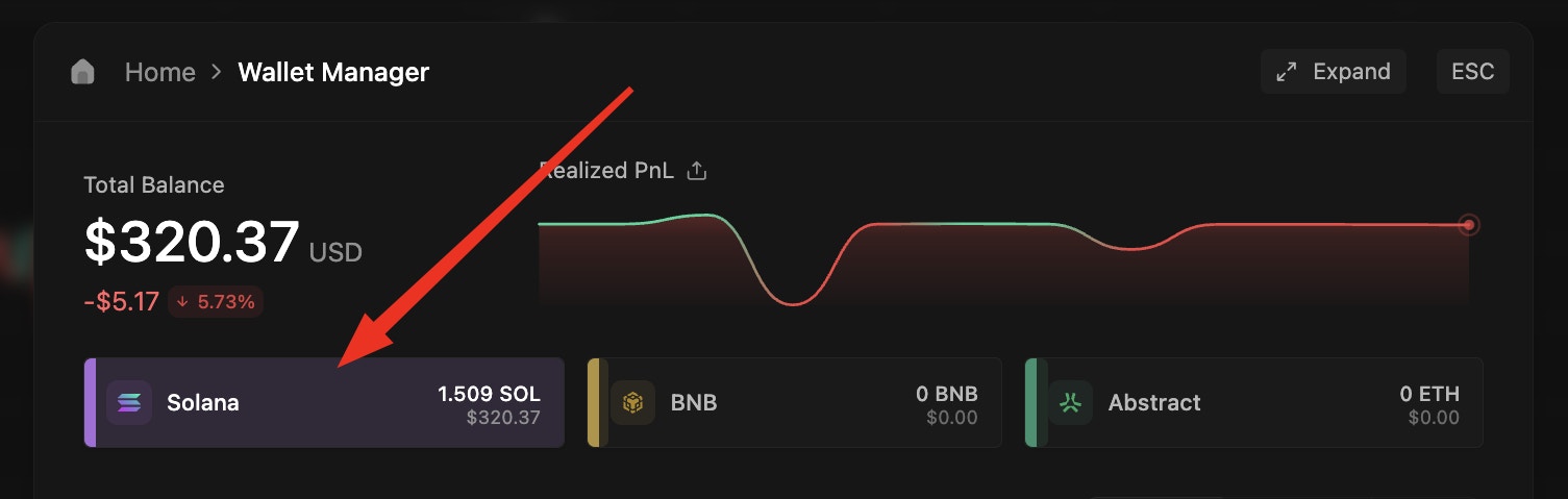 Network selection interface