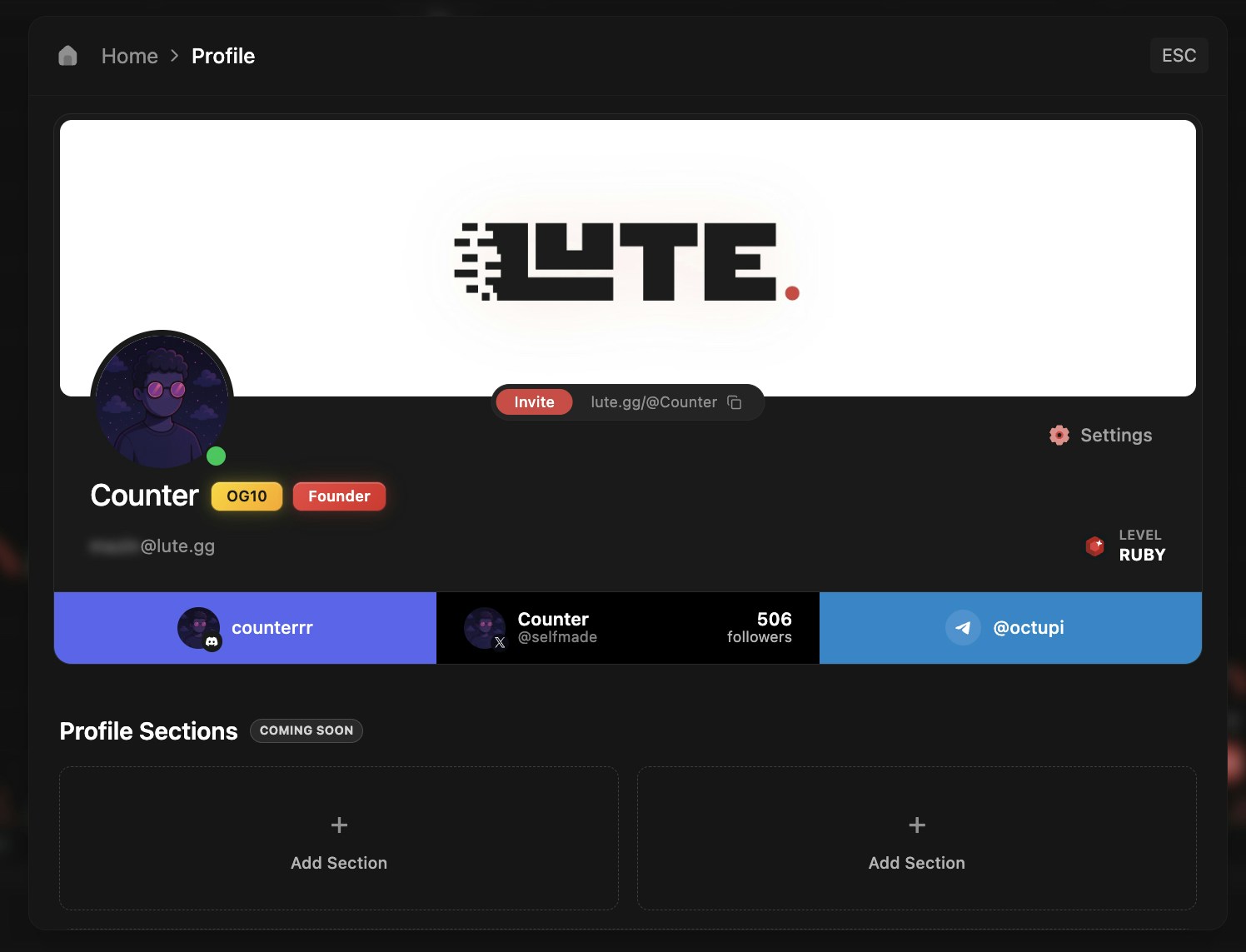 Profile customization interface