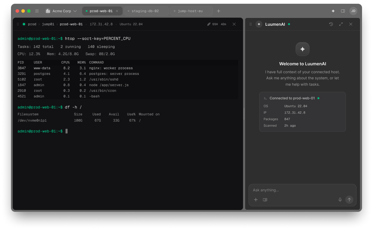 An open Luumen session with a terminal widget and the LuumenAI chat panel alongside it