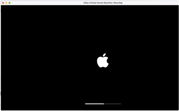 VM starting in a separate window in Orka Desktop