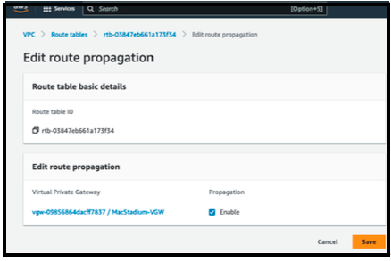 AWS Route Table Route Propagation tab with Propagate checkbox